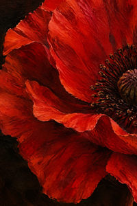 Crimson Bloom - Detail