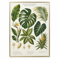 Botanical illustration print with exotic tropical leaves and plants in green and gold